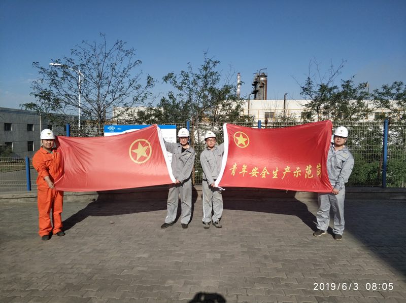 寧夏公司廣泛開(kāi)展“青年安全生產(chǎn)示范崗”授旗儀式2.jpg